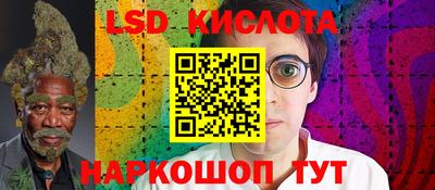 гашик Гусев