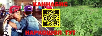 гашик Гусев