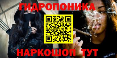 гашик Гусев