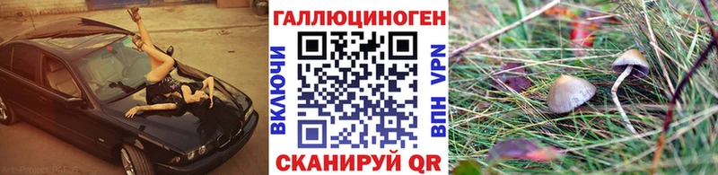 Псилоцибиновые грибы Psilocybe Ирбит