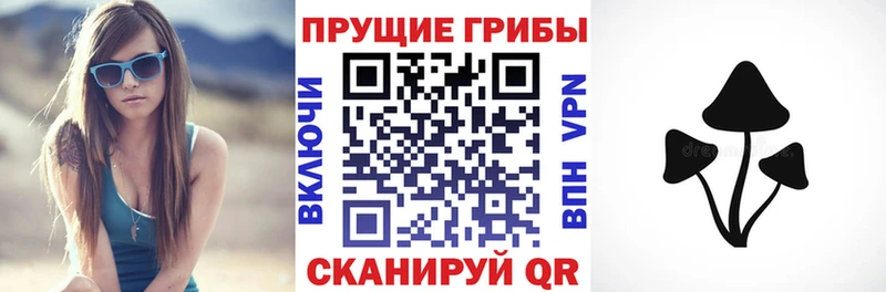 Псилоцибиновые грибы Psilocybe  Ирбит 